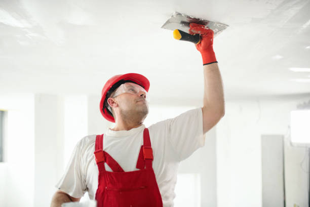 Best Trim and Molding Painting  in Ellisville, MO